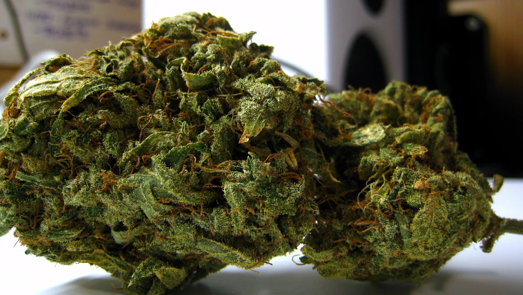 Close-up of dried cannabis flower. Representative photo.