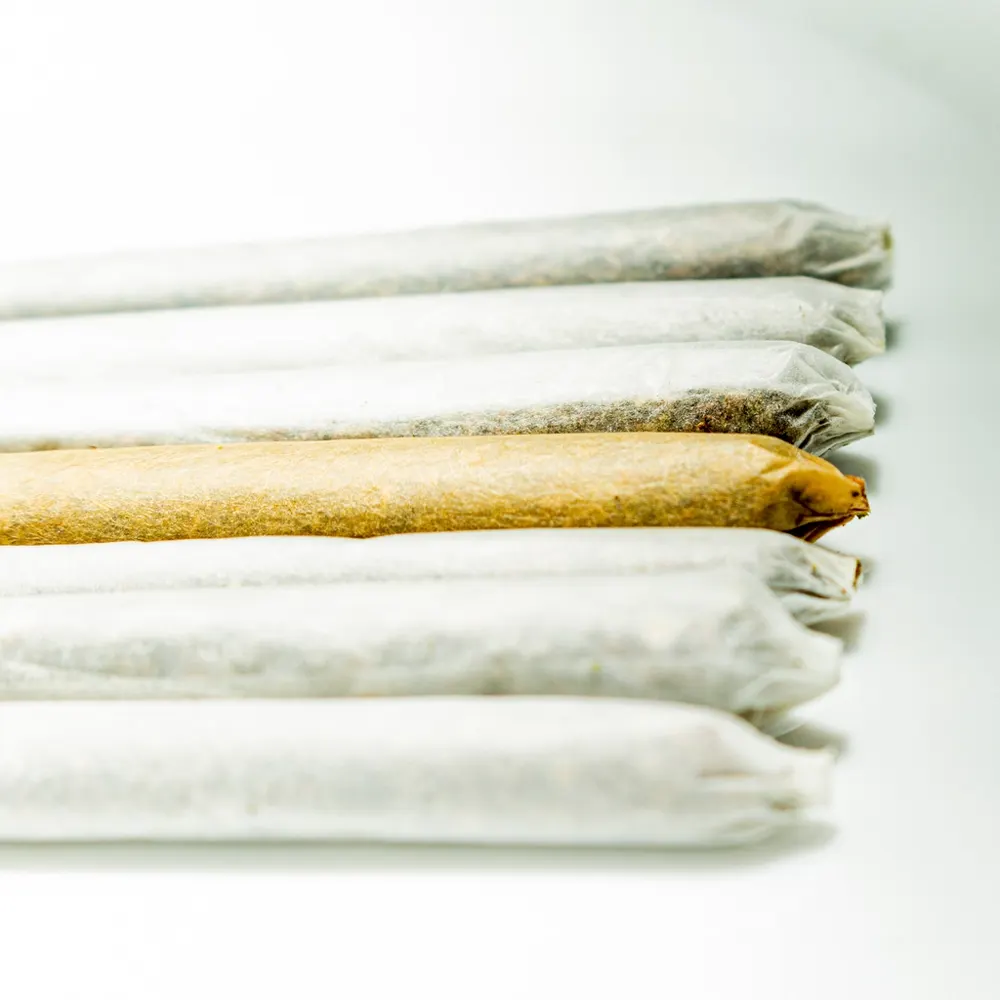 Seven rolled pre-rolls lying in a row on a white surface. Representative photo.